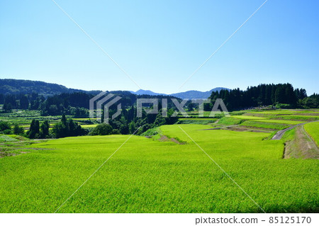 Tochio Raiden（新潟縣）的梯田 85125170