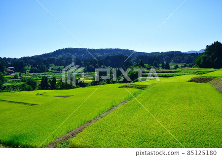 Rice terraces of Tochio Raiden (Niigata Prefecture) 85125180