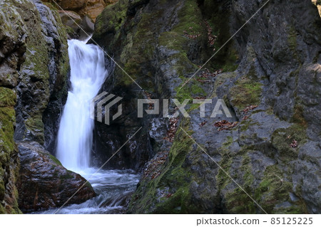 Iwayagawa Valley Kotaki Late Autumn (Niyodogawa Town, Kochi Prefecture) 85125225