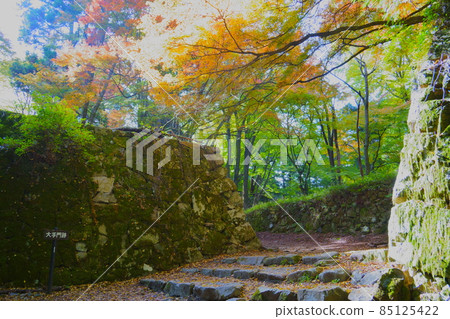 Takatori Castle Ruins Otemon Ruins and Autumn Leaves / Takatori Town, Takaichi District, Nara Prefecture Takatori Castle Ruins Otemon Ruins and Autumn Leaves / Takatori Town, Takaichi District, Nara Prefecture 85125422