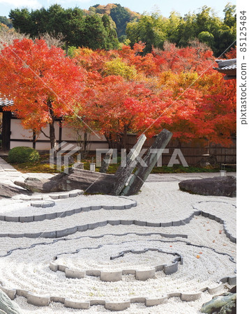 Autumn leaves of Yugoyaji Temple in Kyoto Autumn leaves of Yugoyaji Temple in Kyoto 85125484