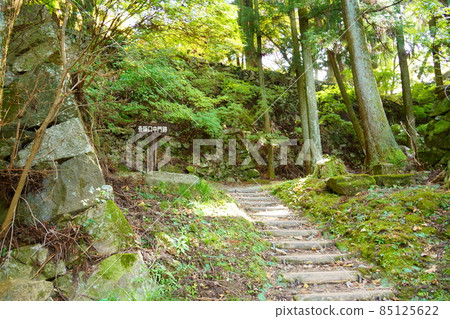 石垣、坪坂高取城跡(奈良縣高市區高取町) 石垣、坪坂高取城跡(奈良縣高市區高取町) 85125622