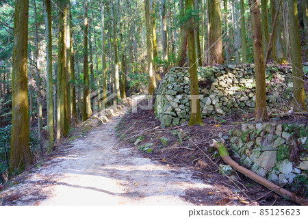 高取城跡石垣（奈良縣高市區高取町） 85125623