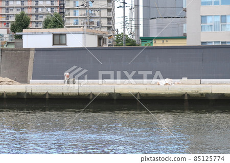 Scenery of Sumida River, Tokyo Scenery of Sumida River, Tokyo 85125774