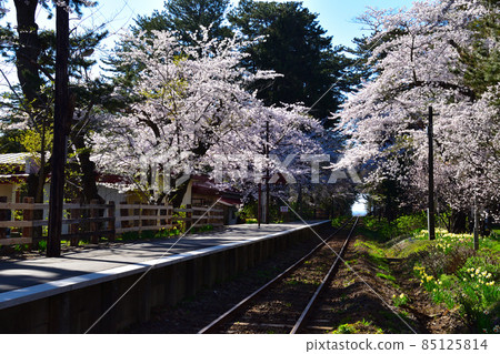 Sakurakei Tsugaru Railway Ashinokoen Station 85125814