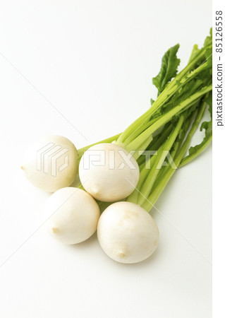蘿蔔白色背景 85126558