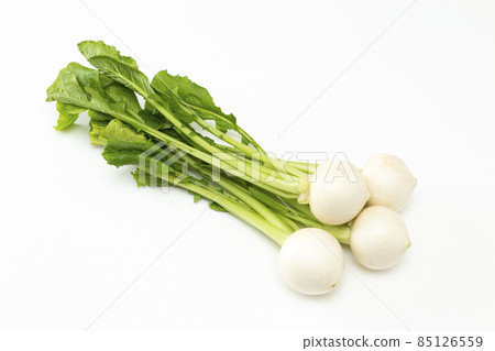 蘿蔔白色背景 85126559