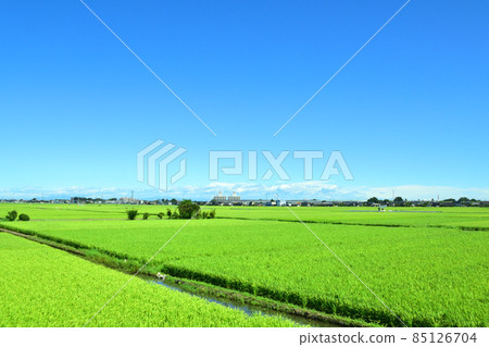 從南古屋站到赤羽站的埼京川越線車窗外的風景 85126704