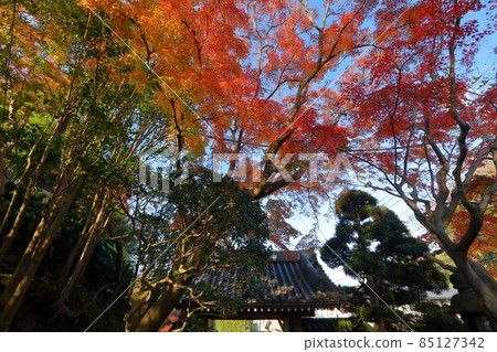 神奈川縣鎌倉市淨明寺 85127342
