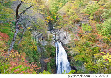 秋天Akiho Otori 85127851