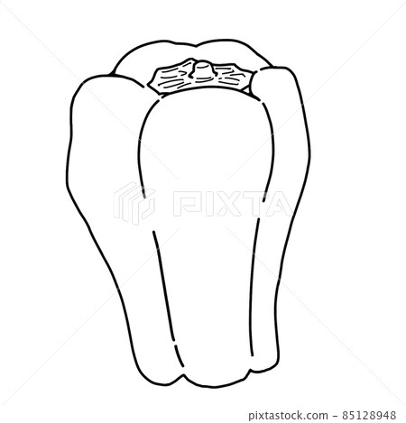 Vegetables_green pepper_line drawing 85128948