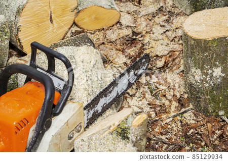 Close-up professional chainsaw blade cutting log of wood. 85129934