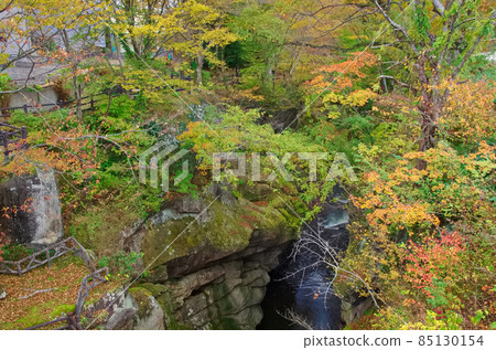 雷峽谷的秋天 85130154