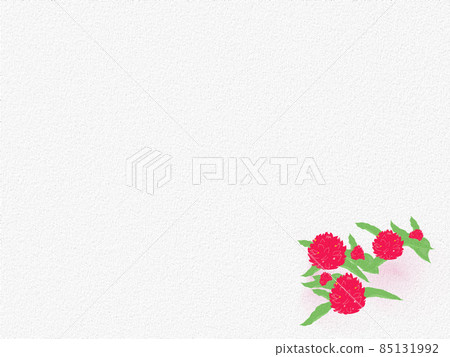 右下小仙北簡單花 右下小仙北簡單花 85131992