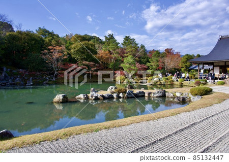 天龍寺庭園的秋葉(京都) 天龍寺庭園的秋葉(京都) 85132447