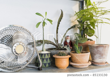 gardening. High quality photo 85133130