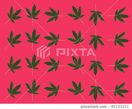 Pattern of marijuana leaves on a red background. View from above. 85133151