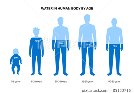 Water body balance Water body balance 85133716