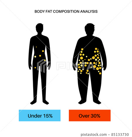 Body fat composition 85133730