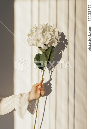 hand holding natural flowers. High quality photo hand holding natural flowers. High quality photo 85133771