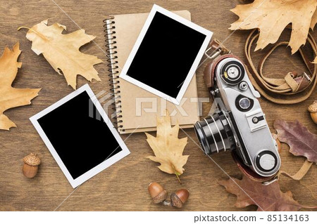 top view camera with s autumn leaves. High quality photo top view camera with s autumn leaves. High quality photo 85134163