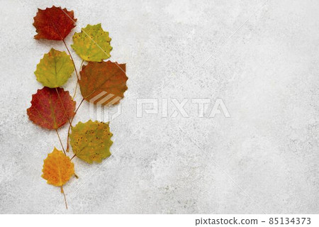 top view assortment autumn leaves. High quality photo top view assortment autumn leaves. High quality photo 85134373