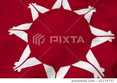 Oglala Sioux Nation flag in 3D rendering 85134757