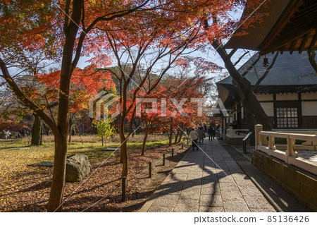 Jōshinji Temple, Setagaya-ku, Tokyo 85136426