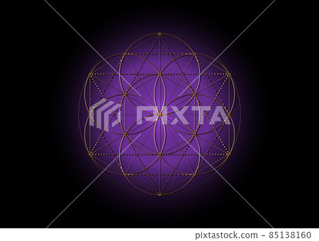 Flower of Life, Seed of life symbol Sacred Geometry, mystic mandala of alchemy esoteric sign. Golden luxury logo Vector isolated on purple background Flower of Life, Seed of life symbol Sacred Geometry, mystic mandala of alchemy esoteric sign. Golden luxury logo Vector isolated on purple background 85138160