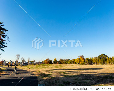 東京杉並區秋季公園的清新景色 東京杉並區秋季公園的清新景色 85138966