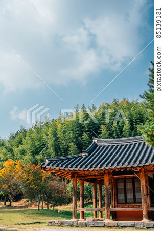 Juknokwon bamboo forest and Korean traditional house at autumn in Damyang, Korea Juknokwon bamboo forest and Korean traditional house at autumn in Damyang, Korea 85139181