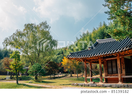 Juknokwon bamboo forest and Korean traditional house at autumn in Damyang, Korea 85139182