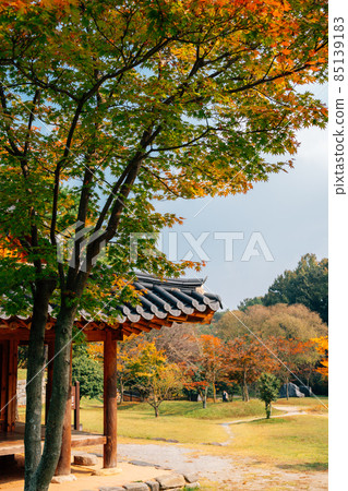 Korean traditional house and autumn forest at Juknokwon in Damyang, Korea Korean traditional house and autumn forest at Juknokwon in Damyang, Korea 85139183