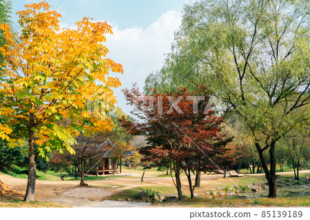 Korean traditional house and autumn forest at Juknokwon in Damyang, Korea Korean traditional house and autumn forest at Juknokwon in Damyang, Korea 85139189