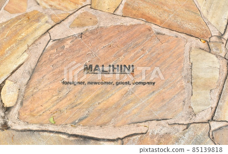 Holidays in Hawaii Holidays in Hawaii 85139818