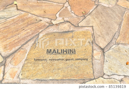 Holidays in Hawaii Holidays in Hawaii 85139819