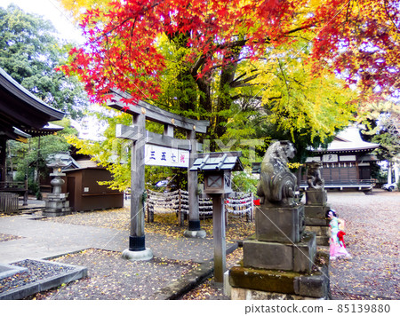 November's tradition of visiting Shichigosan November's tradition of visiting Shichigosan 85139880