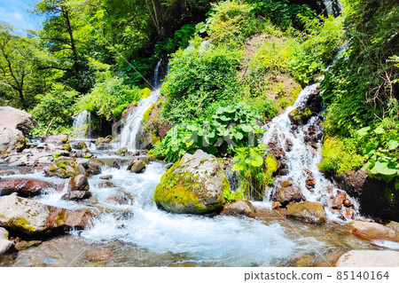 蒼龍瀑布（夏季） 85140164