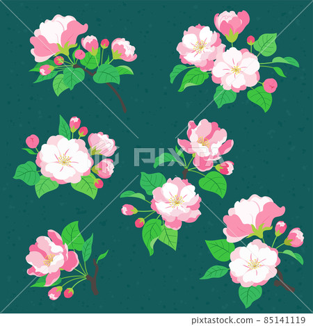 各種型態的海棠花插圖 85141119