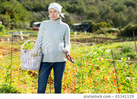 Portrait of cheerful young woman with gardening tools standing outdoors 85142129