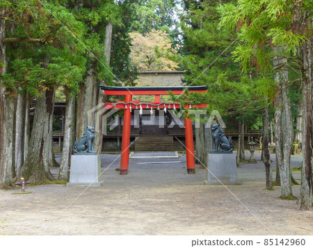 高野山的山之院 高野山的山之院 85142960