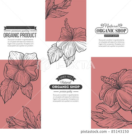 Organic products in shop, natural store shopping 85143150