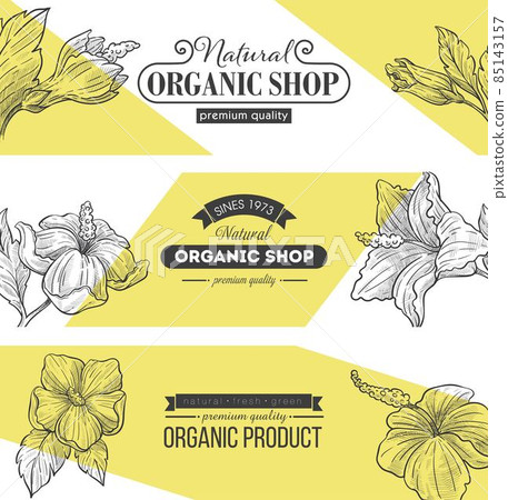 Natural organic shop with premium quality vector - Stock Illustration ...