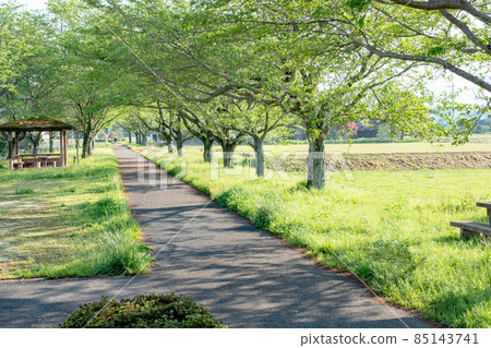 Promenade of the former Kurayoshi Line (near Ogamo, Kurayoshi City) Promenade of the former Kurayoshi Line (near Ogamo, Kurayoshi City) 85143741