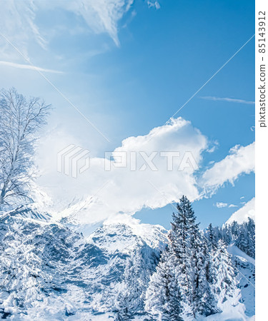 Winter wonderland and Christmas landscape. Snowy forest, trees covered with snow as holiday background Winter wonderland and Christmas landscape. Snowy forest, trees covered with snow as holiday background 85143912