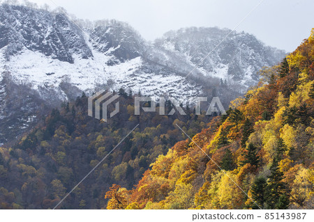 Autumn leaves of Kiroro Autumn leaves of Kiroro 85143987