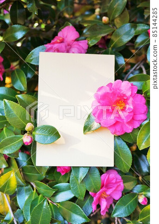 一張空白卡片的模型,上面裝飾著 sasanqua 紅花,垂直 一張空白卡片的模型,上面裝飾著 sasanqua 紅花,垂直 85144285