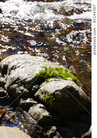 Miyamakawa Dragonfly Summer River Scenery of Japanese riverbank Clear stream Miyamakawa Dragonfly Summer River Scenery of Japanese riverbank Clear stream 85144367