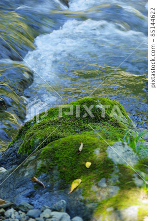 清澈的溪流,水流,岩石苔蘚,河邊風景,日本山中的溪流 清澈的溪流,水流,岩石苔蘚,河邊風景,日本山中的溪流 85144622
