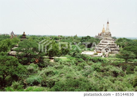 Pagoda group forested in the plain (Bagan / Myanmar) 85144630